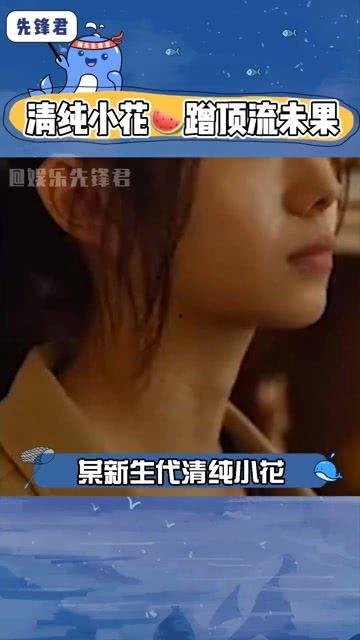 娱乐吃瓜小花视频,吃瓜小花视频背后的故事