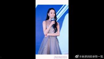 2018娱乐明星榜,璀璨星光闪耀娱乐圈